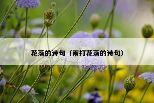 花落的诗句（雨打花落的诗句）