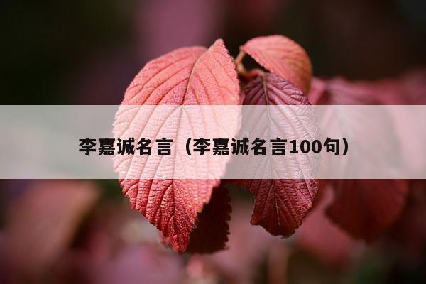 李嘉诚名言（李嘉诚名言100句）