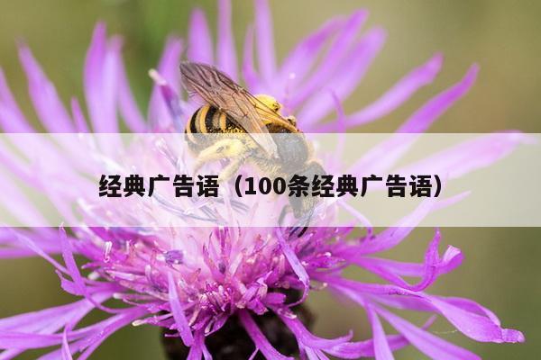 经典广告语（100条经典广告语）