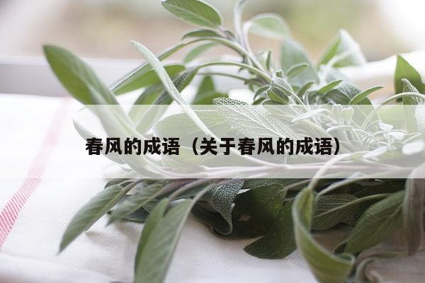 春风的成语（关于春风的成语）