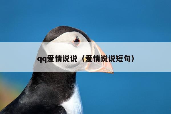 qq爱情说说（爱情说说短句）