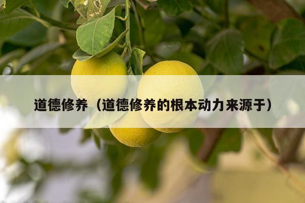 道德修养（道德修养的根本动力来源于）