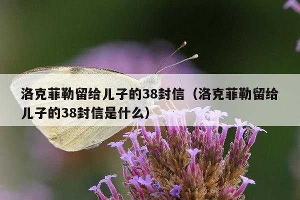 洛克菲勒留给儿子的38封信（洛克菲勒留给儿子的38封信是什么）