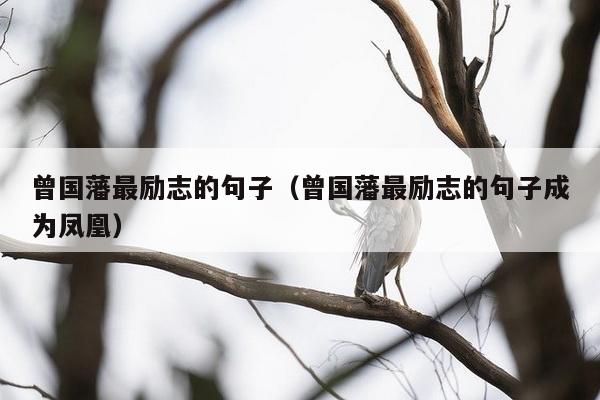 曾国藩最励志的句子（曾国藩最励志的句子成为凤凰）