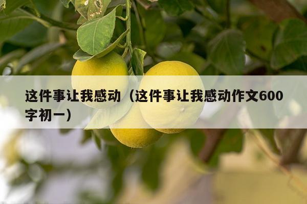 这件事让我感动（这件事让我感动作文600字初一）