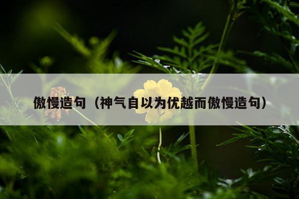 傲慢造句（神气自以为优越而傲慢造句）