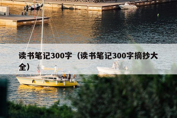 读书笔记300字（读书笔记300字摘抄大全）