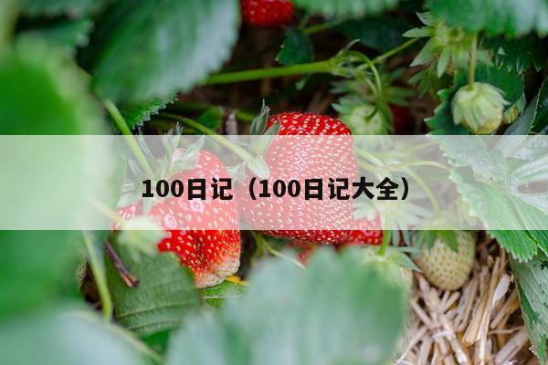 100日记（100日记大全）