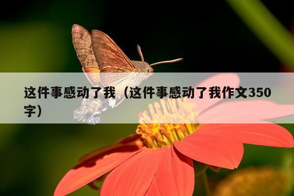 这件事感动了我（这件事感动了我作文350字）