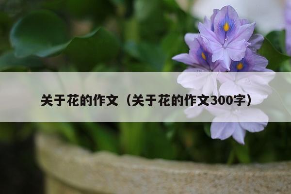 关于花的作文（关于花的作文300字）