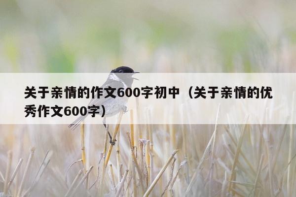 关于亲情的作文600字初中（关于亲情的优秀作文600字）