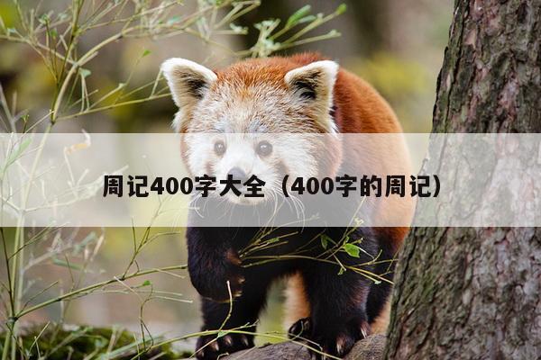 周记400字大全（400字的周记）