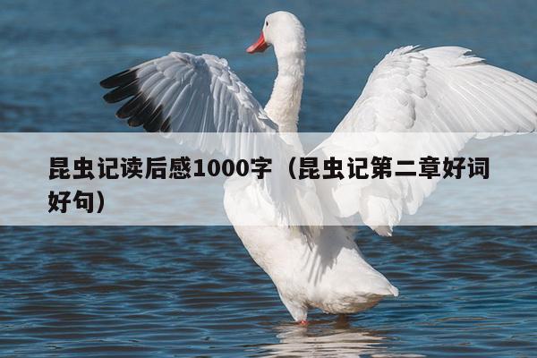 昆虫记读后感1000字（昆虫记第二章好词好句）