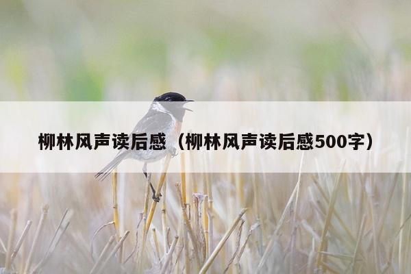 柳林风声读后感（柳林风声读后感500字）