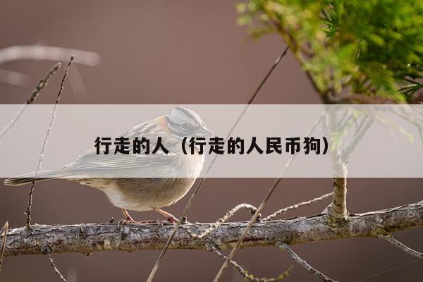 行走的人（行走的人民币狗）