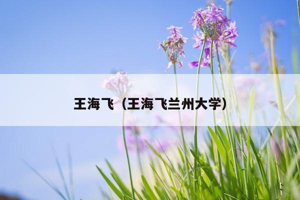 王海飞（王海飞兰州大学）