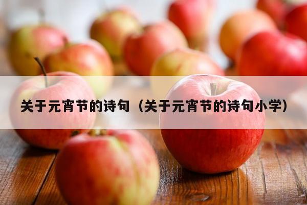 关于元宵节的诗句（关于元宵节的诗句小学）