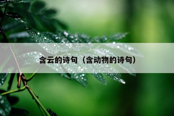 含云的诗句（含动物的诗句）