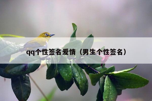 qq个性签名爱情（男生个性签名）