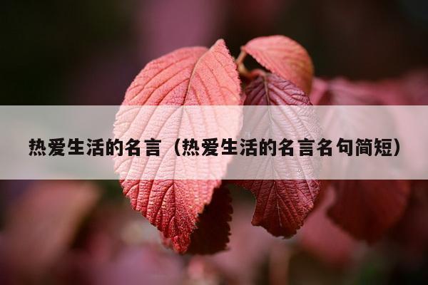 热爱生活的名言（热爱生活的名言名句简短）