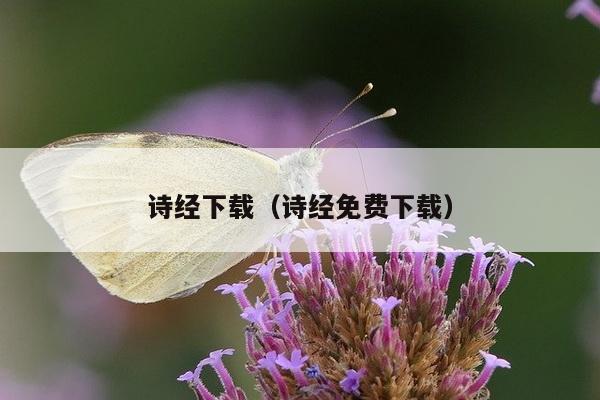 诗经下载（诗经免费下载）