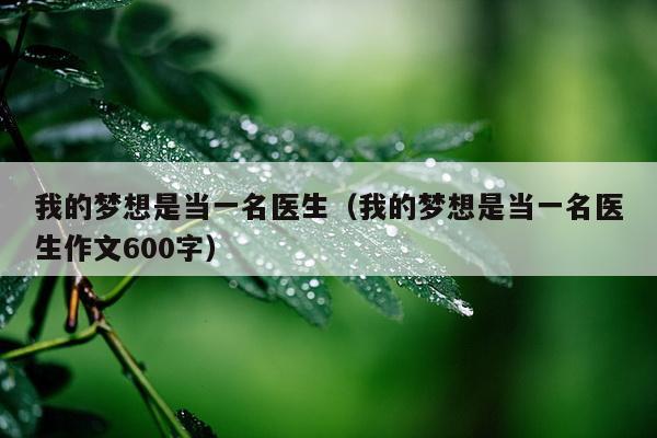 我的梦想是当一名医生（我的梦想是当一名医生作文600字）