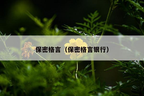 保密格言（保密格言银行）