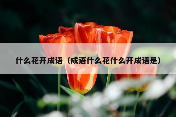 什么花开成语（成语什么花什么开成语是）