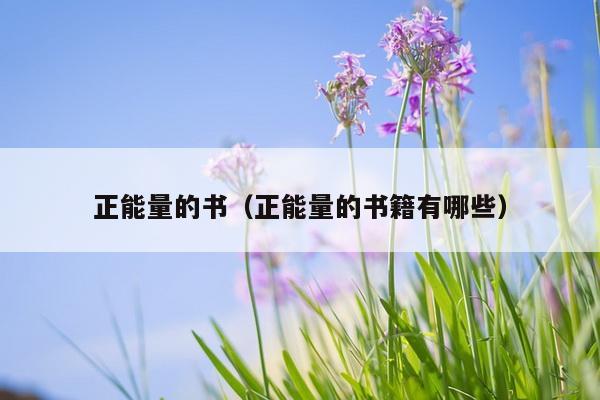 正能量的书（正能量的书籍有哪些）