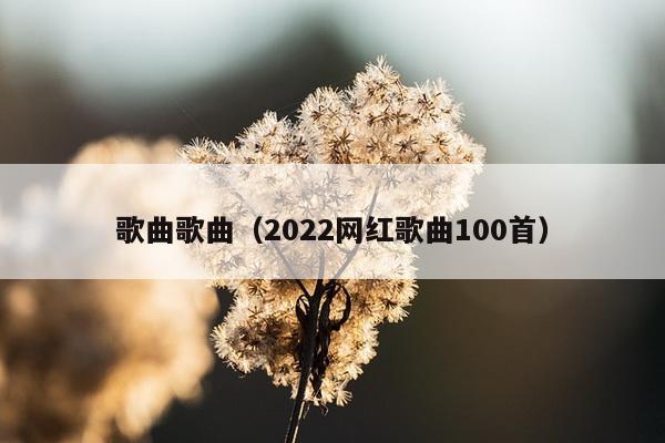 歌曲歌曲（2022网红歌曲100首）