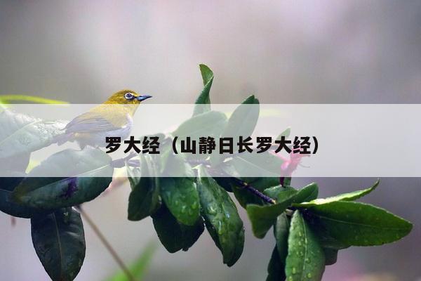 罗大经（山静日长罗大经）