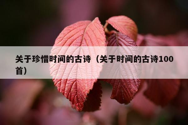 关于珍惜时间的古诗（关于时间的古诗100首）