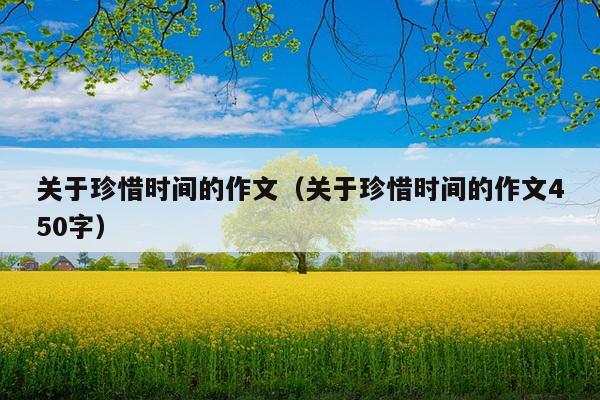 关于珍惜时间的作文（关于珍惜时间的作文450字）