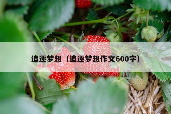 追逐梦想（追逐梦想作文600字）