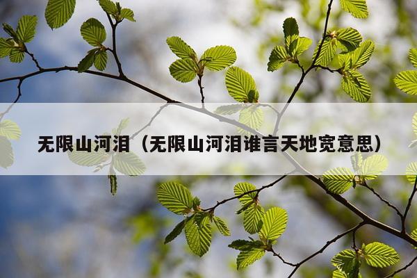 无限山河泪（无限山河泪谁言天地宽意思）