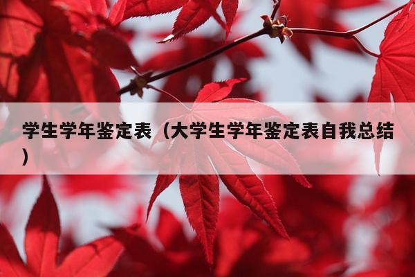 学生学年鉴定表（大学生学年鉴定表自我总结）