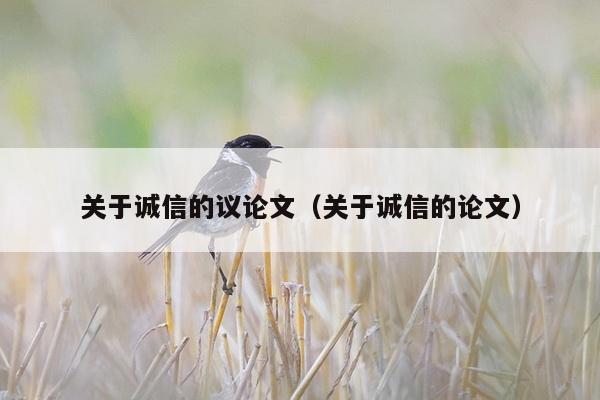 关于诚信的议论文（关于诚信的论文）