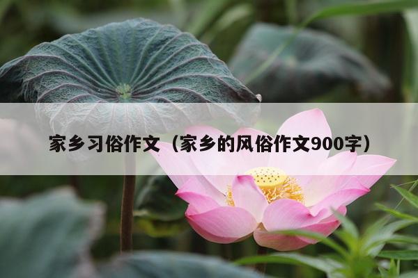 家乡习俗作文（家乡的风俗作文900字）