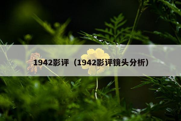 1942影评（1942影评镜头分析）