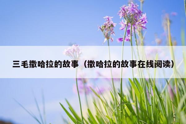 三毛撒哈拉的故事（撒哈拉的故事在线阅读）