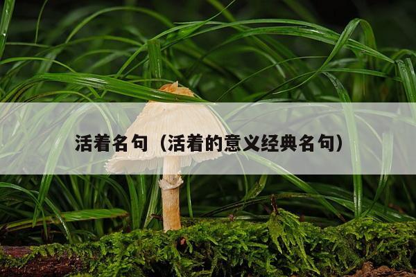 活着名句（活着的意义经典名句）