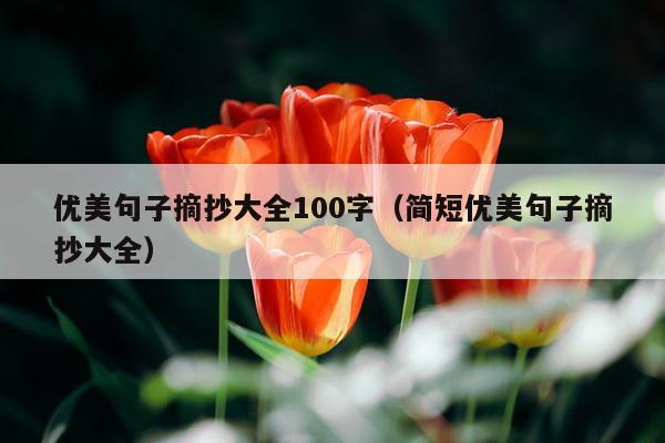 优美句子摘抄大全100字（简短优美句子摘抄大全）