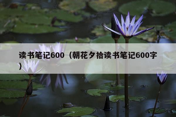 读书笔记600（朝花夕拾读书笔记600字）