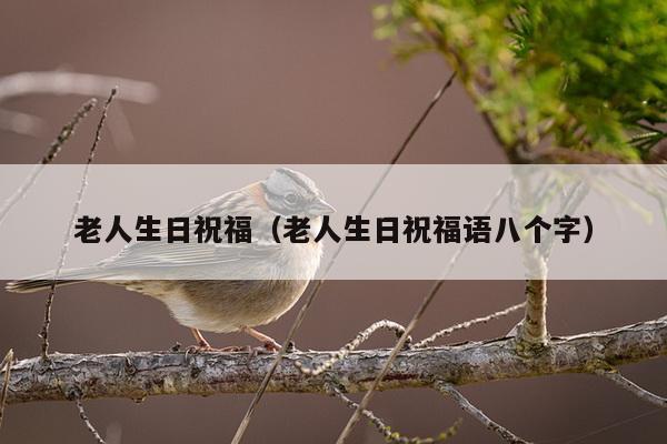 老人生日祝福（老人生日祝福语八个字）