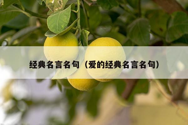 经典名言名句（爱的经典名言名句）