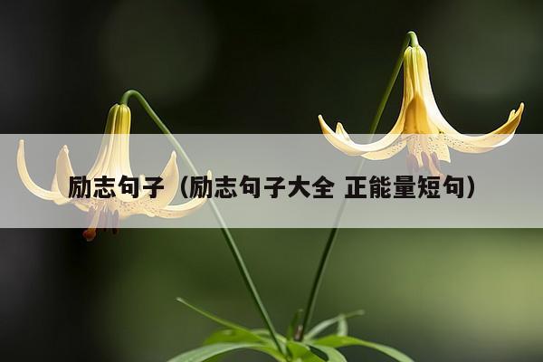 励志句子（励志句子大全 正能量短句）