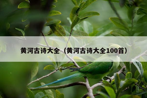 黄河古诗大全（黄河古诗大全100首）