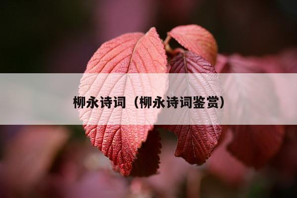 柳永诗词（柳永诗词鉴赏）