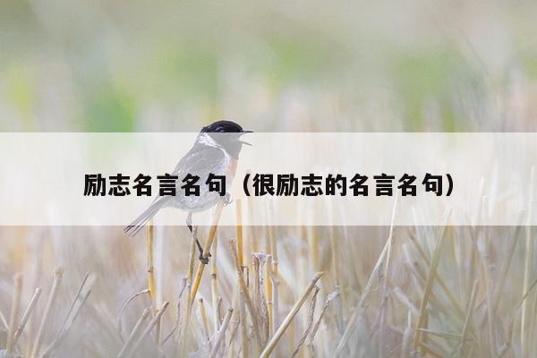 励志名言名句（很励志的名言名句）