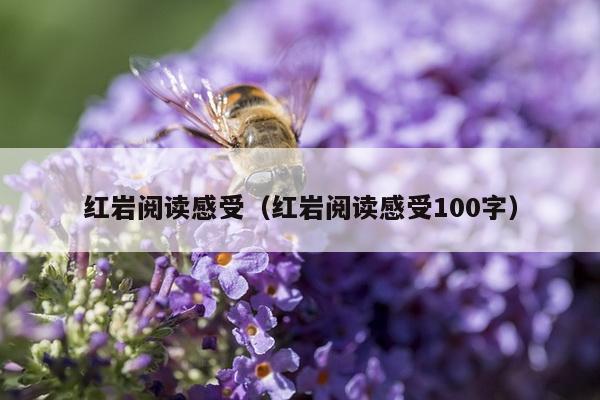 红岩阅读感受（红岩阅读感受100字）